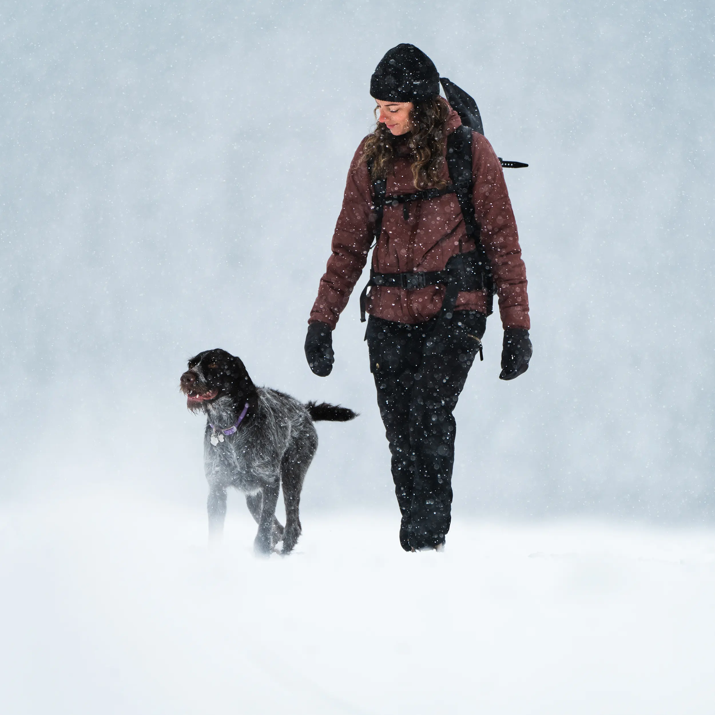W's Seasonal Lightweight Insulated Hood Jacket - Image 7